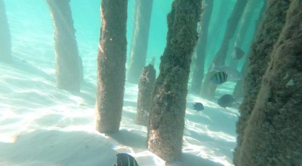 05aa491f-c2ff-4010-9a63-382dd2028ada