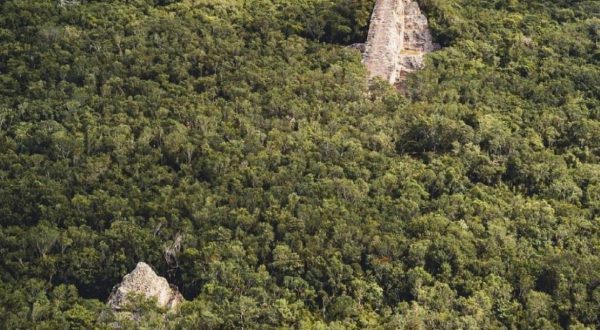 12ebe807-06a9-449f-a5bb-7f1a1da6ae81