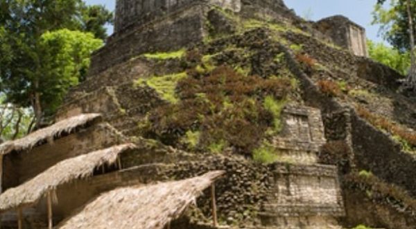 172c3393-f5e5-4fe5-b21b-f6bad3a3eb3e