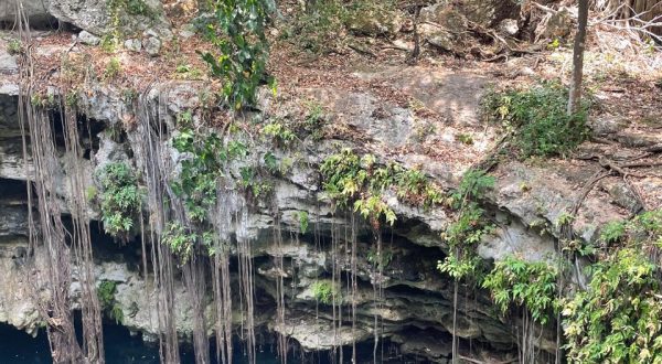 1b0873b0-bce5-4e78-8dc4-bcaf9fa4917f