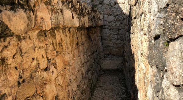 23f73a94-6da5-4af6-b1f8-8ed4431d9099