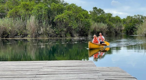 449a1295-7324-45a3-970e-66955d6b55ba