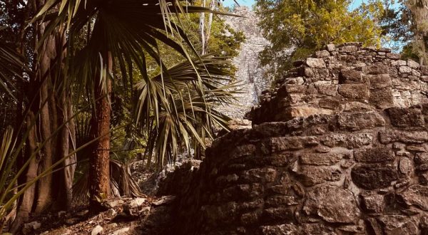 482a3a07-255e-4566-b6c4-d954376bf7af