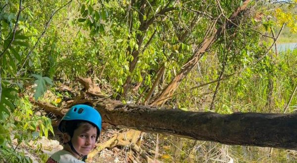 49c703e5-c30b-4d17-a744-3d66148e725e