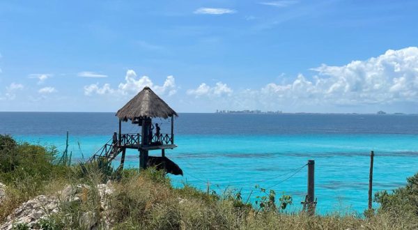 4a8c333a-fc1c-425d-913f-e4c5f4a380c9