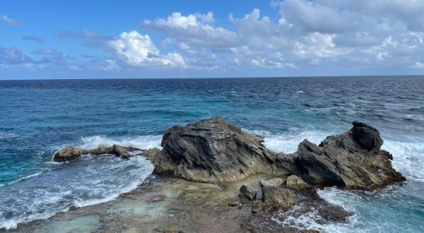 4af48b38-1cb8-4bb8-a625-7b10e1c50a99