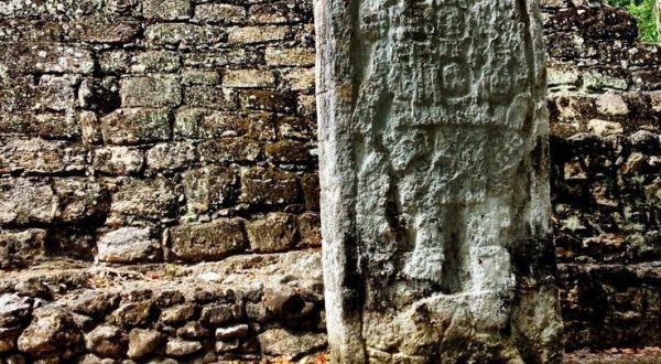 4f95643c-2069-4718-b962-5d18c06a29c9