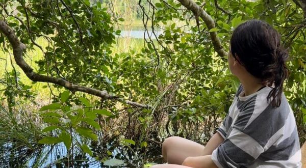 5d47624f-1f00-472e-a2ff-08783c067d93