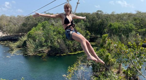 71cc0f00-57ed-4a47-b4c3-fbb76f46a525