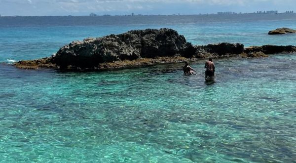 8287443f-41ae-4e8e-ab1e-dd15c5daa2c9