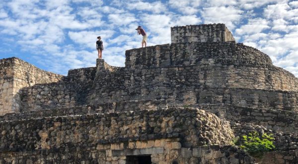 866b5958-2b94-412a-a29c-094f9d960c0e