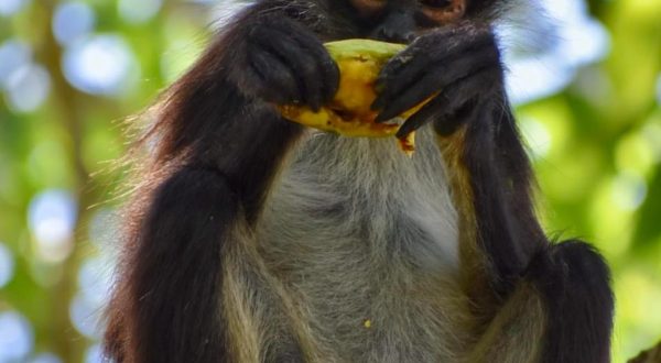 86b13c48-73d5-49d3-b03a-7be10b0a2fae