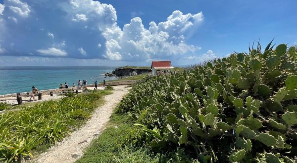 9104992f-ee53-41c6-9b74-03d36d549729