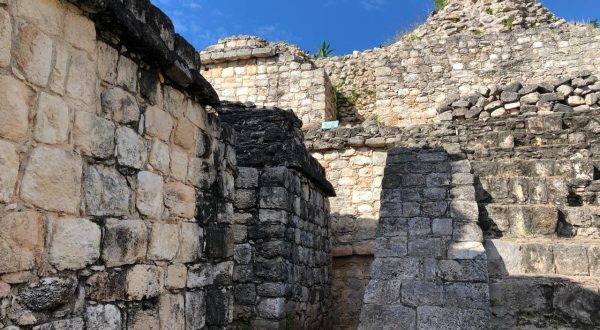 a0d95123-5e0d-432c-aea9-3edc7ae19134