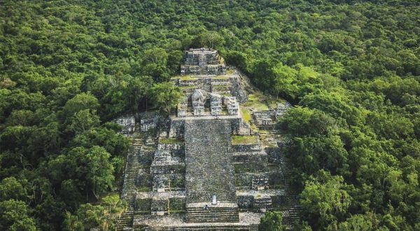 bbba42cf-446a-44d6-917f-d088b425530d