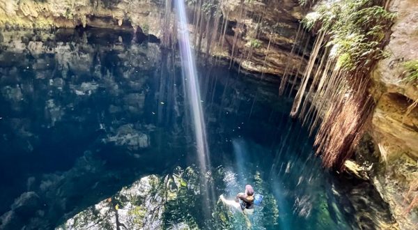 d3363727-b375-403c-bc4f-f695c6dc0682