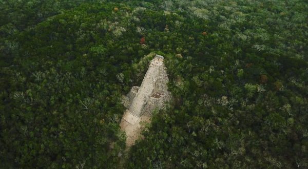 e15f6551-bbb8-4eda-90e6-f0c3fda42b0a