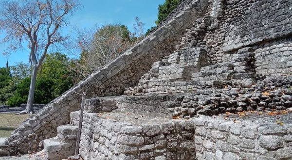 e3094d19-6b43-445d-b752-f13be5523cd4