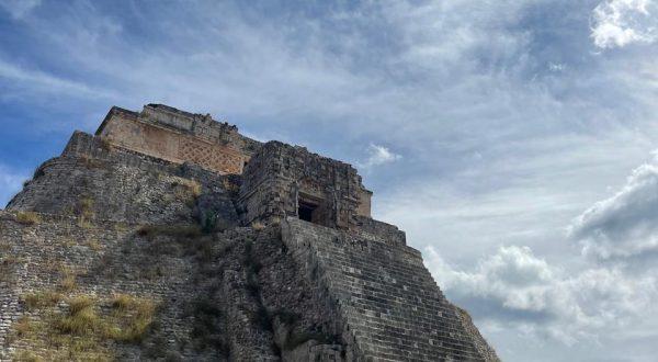 e3d44f66-da7d-4f5d-8d32-4e3ad0fe500a