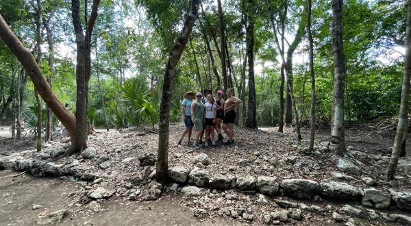 ea8c8610-fa6c-416c-9fb7-c37a6167f263