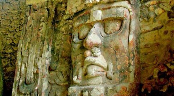 edc8827e-9f51-4ed7-a987-95a060b730d4